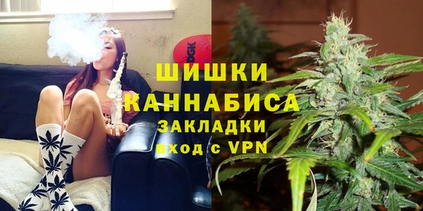 тгк Горняк